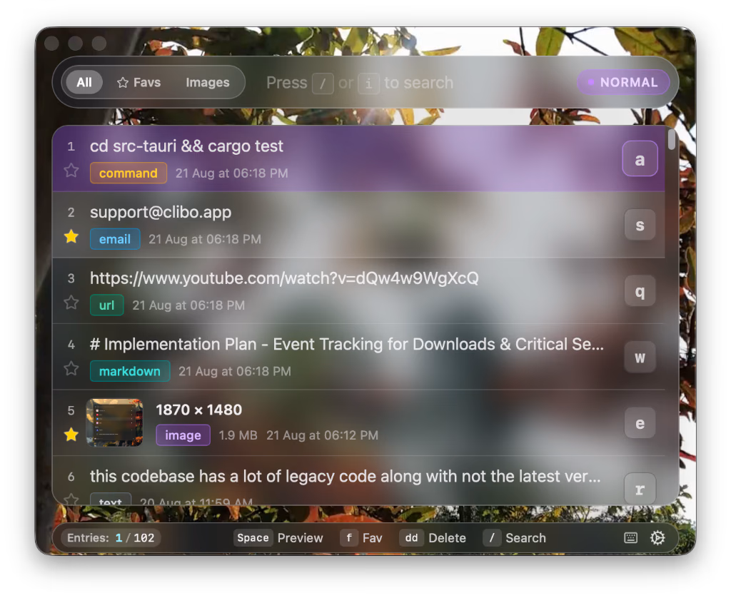 Clibo App Interface